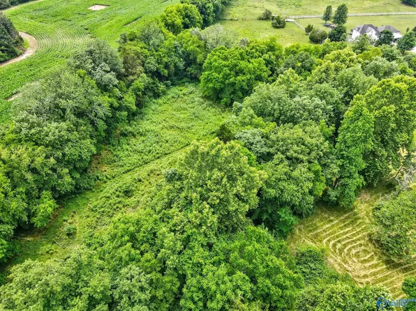 Sharps Cove Rd, Gurley, AL 35748