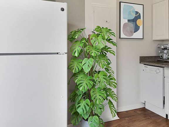 5th image of 5415 Connecticut Ave NW #331