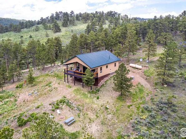 110 Mill Creek Rd, Livermore, CO 80536