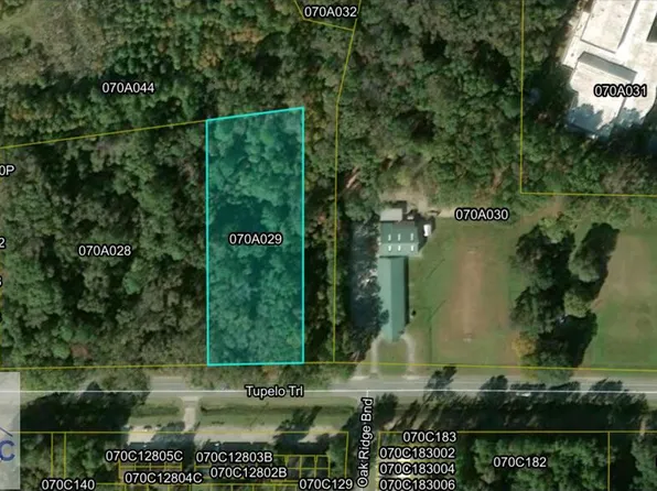 2 Ac Tupelo Trl, Hinesville, GA 31313