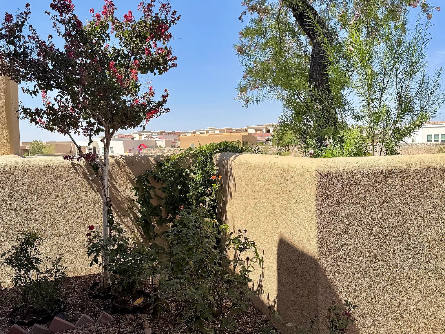2 bed, 1418 sqft, $1,800 — Photo 3