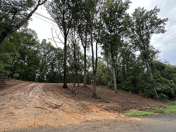 3rd image of 352 Pulley St Lot 4&5