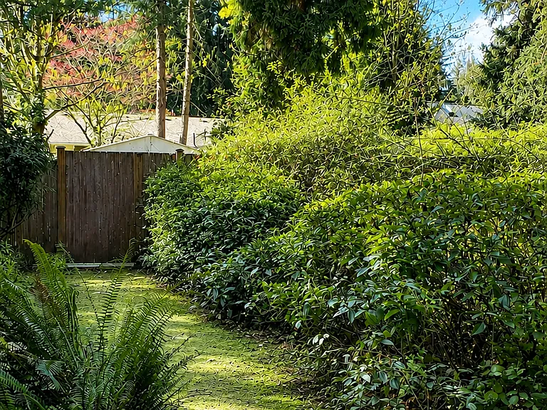Sideyard connecting to full fenced backyard