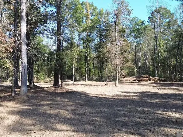 290 Westmoreland Ln, Amite, LA 70422