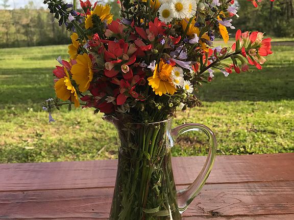 Wildflowers from yard
