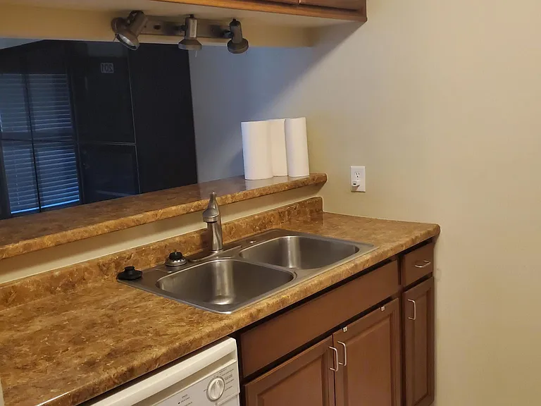 14317 Hanging Moss Cir #201 — Photo 11