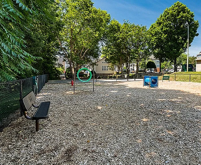 Savannah Place — Photo 9