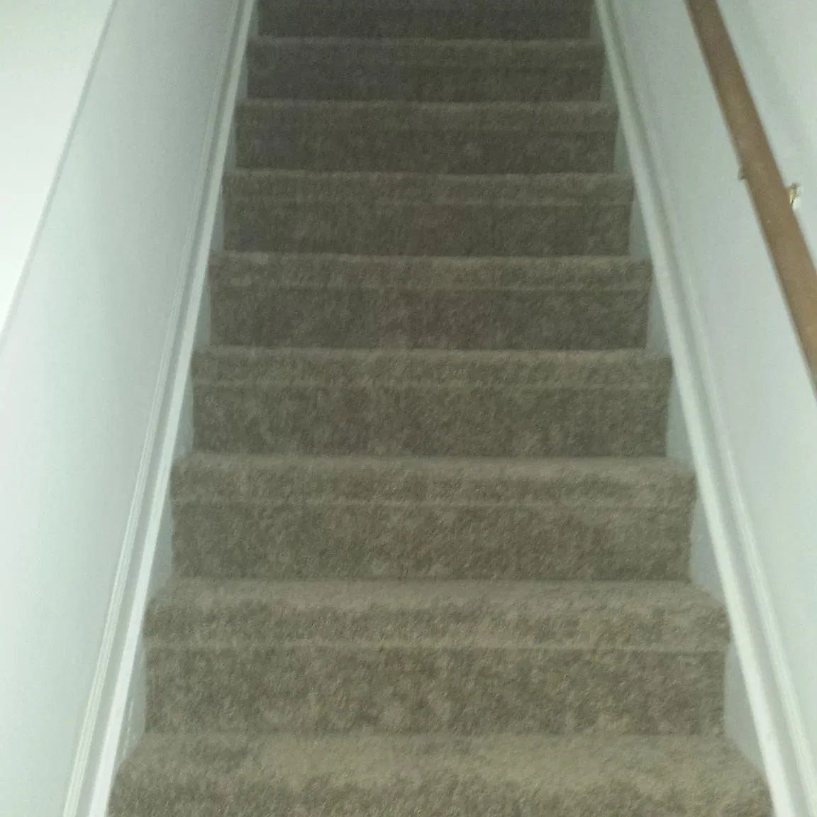 2 bed, 1100 sqft, $1,250 — Photo 2