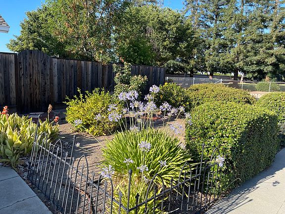 Beautiful Front Yard