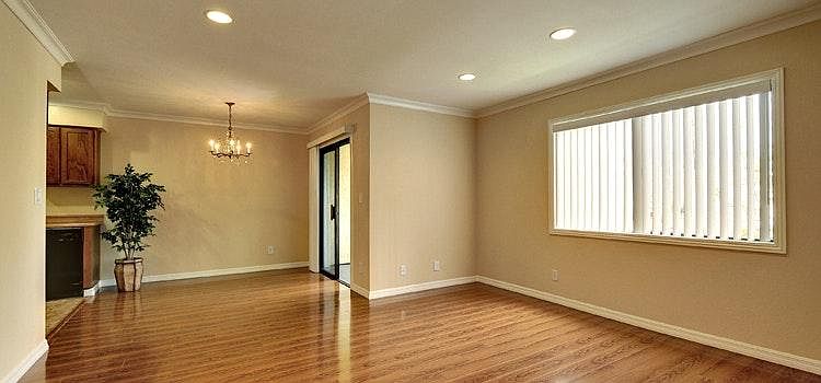 Living / Dining Room