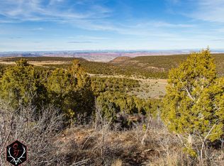 13913 Highway 141, Egnar, CO 81325