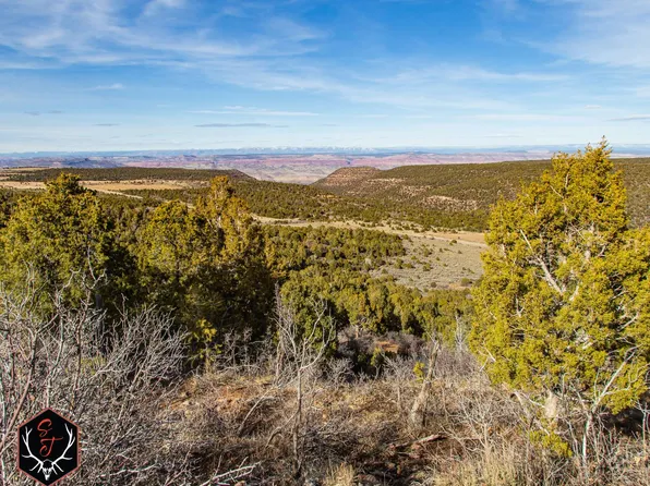 13913 Highway 141, Egnar, CO 81325