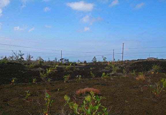 4th image of Paradise Pkwy Lot 24