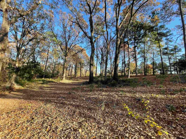 12190 County Road 2128, Whitehouse, TX 75791