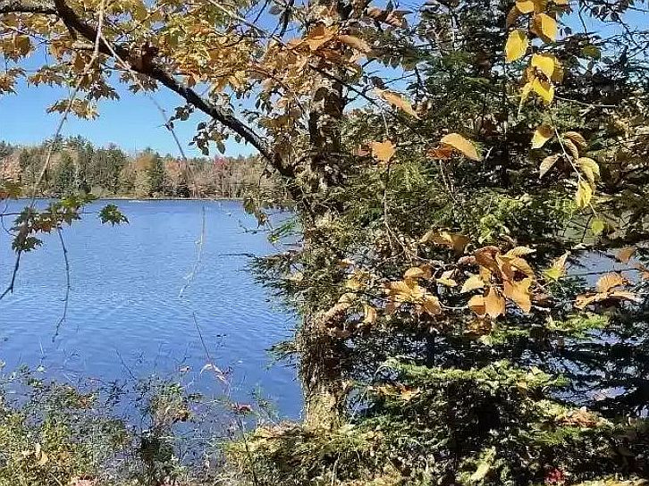 Lakeview Lake Rights Lot