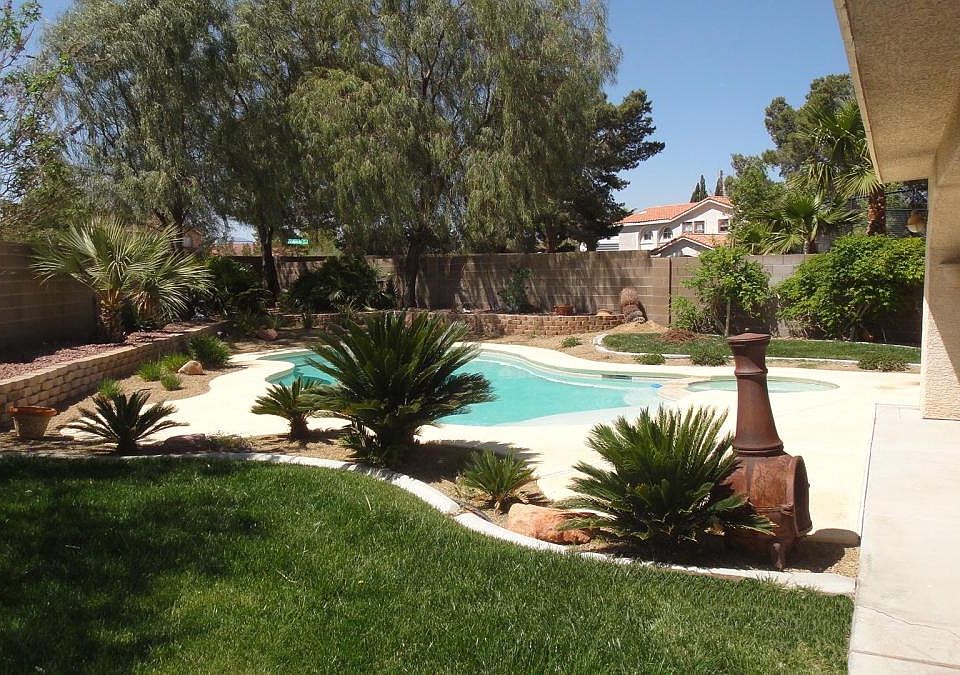 Backyard and Pool