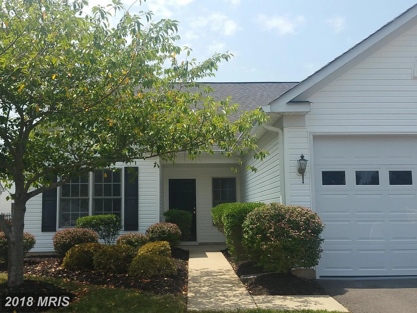 6906 Winthrop Ct photo 1