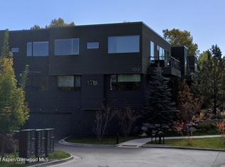 102 Evans Rd #203, Basalt, CO 81621