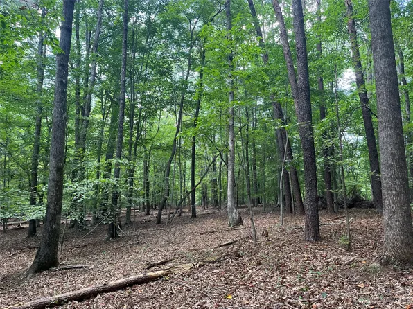 0 Fox Mountain Rd #9, Columbus, NC 28722