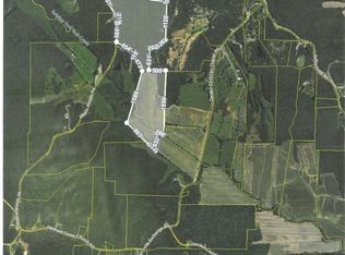 0 Nealis Woods Rd, Wildersville, TN 38388