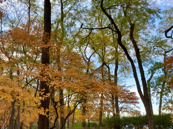 10 Little West Street image 25 of 28