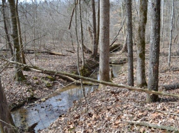 4th image of 0 Boles Rd