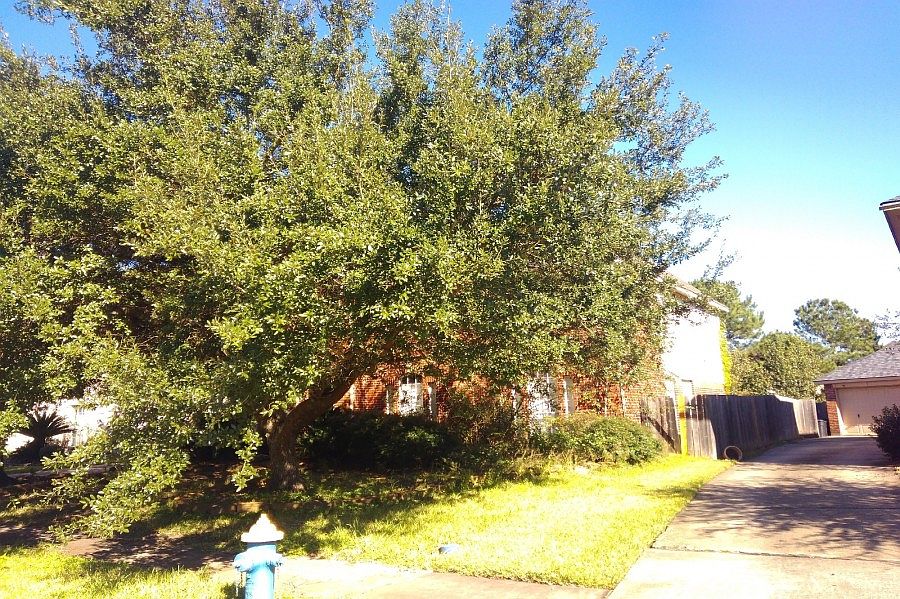 2nd image of 23114 Burcan Ct