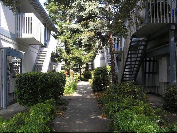 Garden Path Between Bldgs