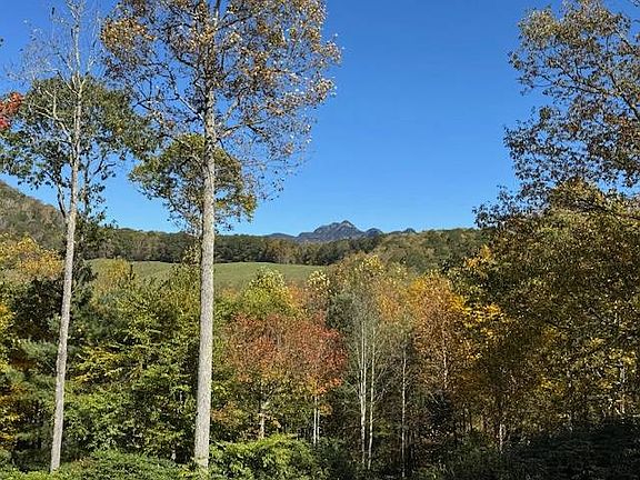 3rd image of 38 Trout Rd