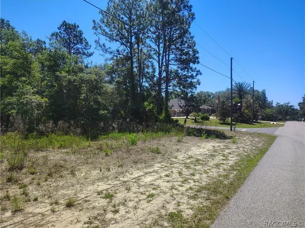 5141 N Wayne Dr, Beverly Hills, FL 34465