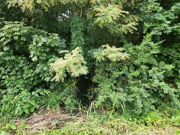 0 Oriole Ct Lot 26, Bedford, VA 24523