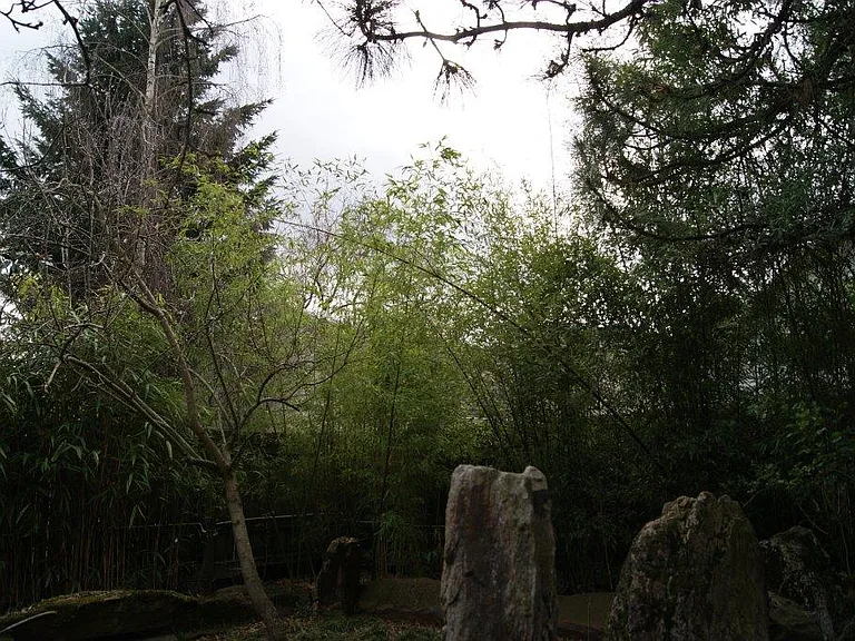 Bamboo/Boulder Grotto with Firepit, Granny Smit Apple, Bosc Pear, Mulberry, and English Walnut Trees