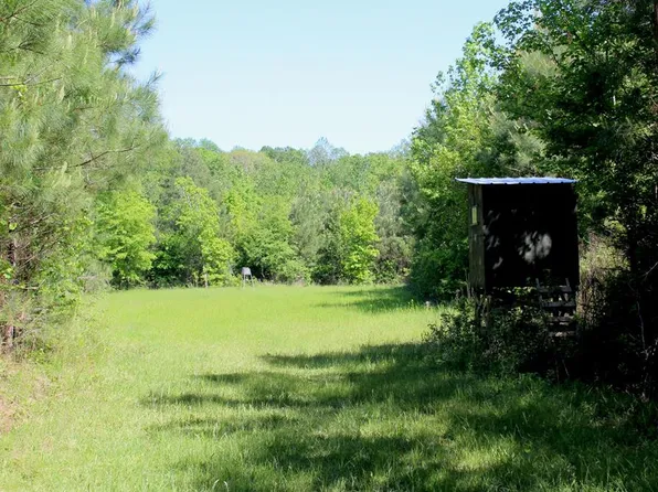 E Lincoln Rd SE, Bogue Chitto, MS 39629