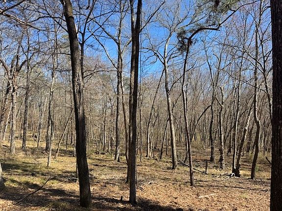 4th image of Anderson County Rd #319