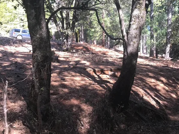 27726 Gretchen Ln, Pioneer, CA 95666