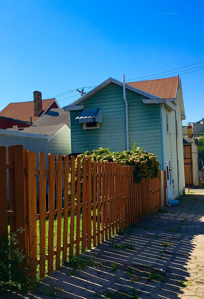 4733 Lorigan St photo 1