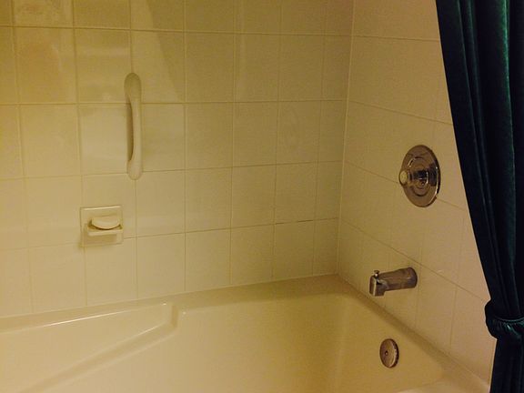 Garden Tub