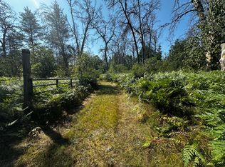 1509 W Ten Mile Rd, Irons, MI 49644