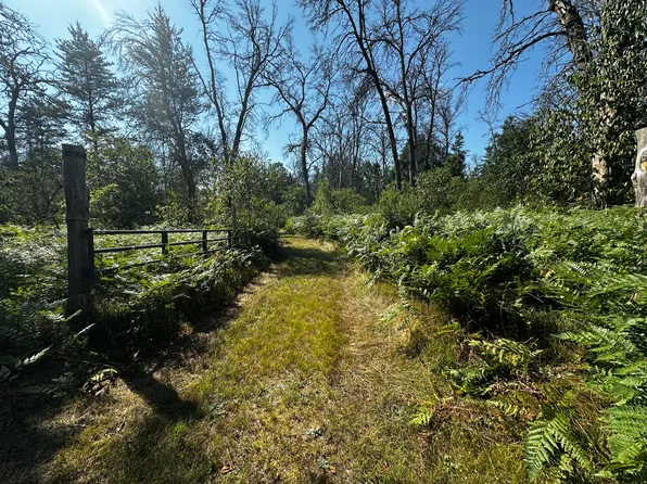 1509 W Ten Mile Rd, Irons, MI 49644