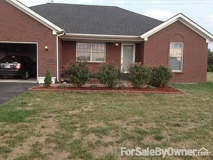 Beautiful Roses in bloom