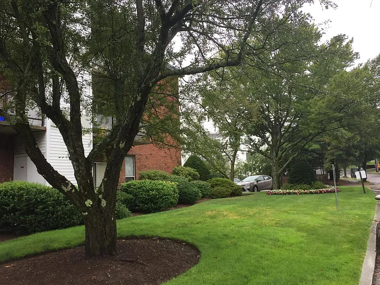 57 Broadlawn Park — Photo 9