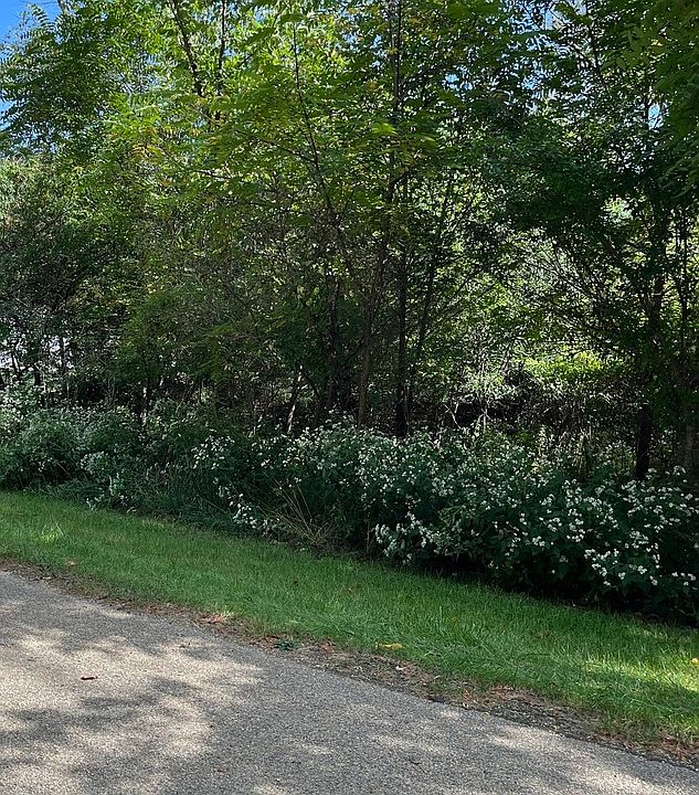 2nd image of 306 Platte Dr