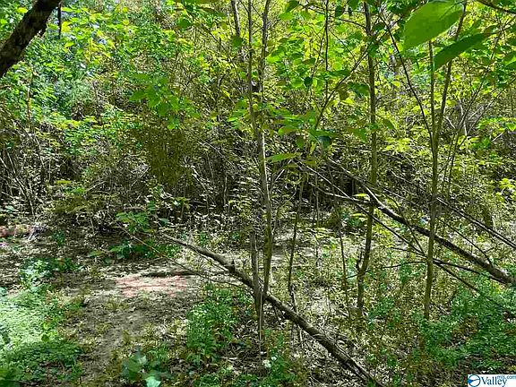5th image of 9453 County Road 946