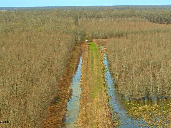 41st image of this home