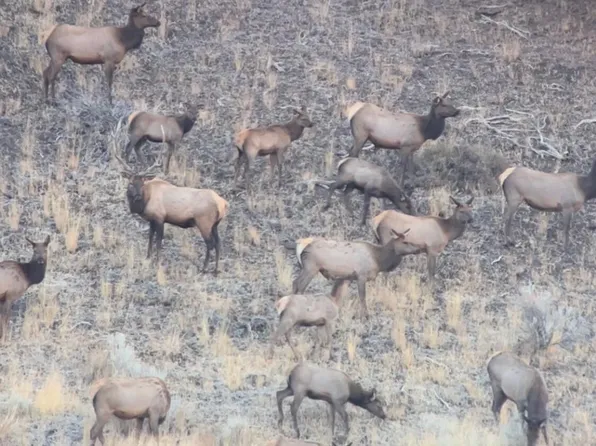 Cummings Creek Rd, Mount Vernon, OR 97865