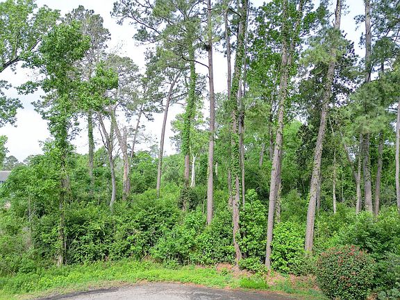 3rd image of 0 Roanoke Dr