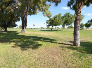 10419 W Pineaire Dr, Sun City, AZ 85351