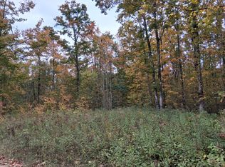 V/l 20ac Webster Rd, Elmira, MI 49730