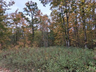 V/l 20ac Webster Rd, Elmira, MI, 49730