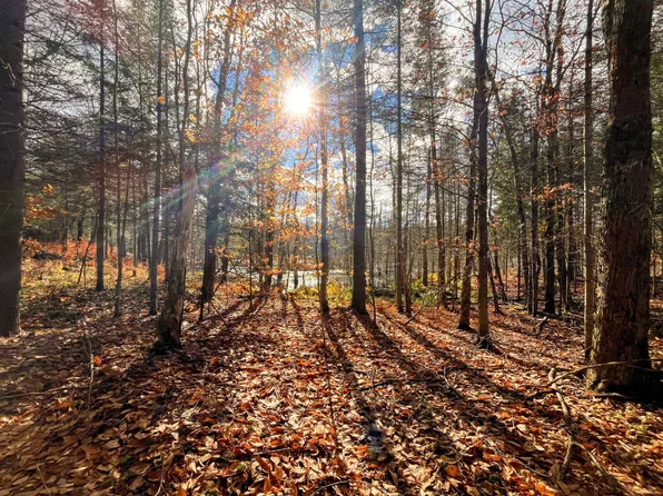 0 Boyd Pond Rd Lot 8 & 9, Russell, NY 13684